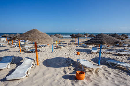 Beach umbrellas on sandy Tunis beach. Holiday summer vacation concept. No People.の写真素材