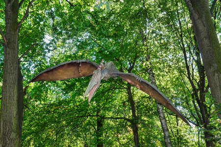 Big model of prehistoric flying dinosaur Pteranodon in nature. Realistic scenery.の写真素材