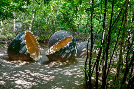 big prehistoric dinosaur eggs in green nature environment