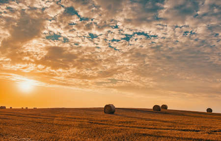 Summer harvested field with straw bales in evening sunset, agriculture concept, Czech Republic