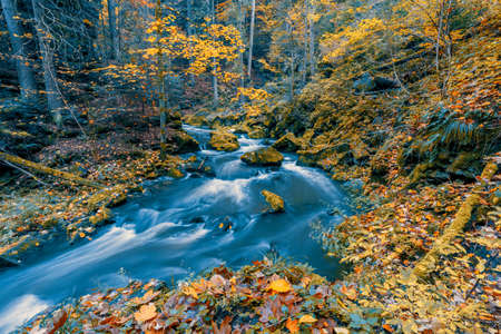 Wild mountain river Doubrava in Czech Republic Valley in beautiful autumn fall colors. Picturesque...