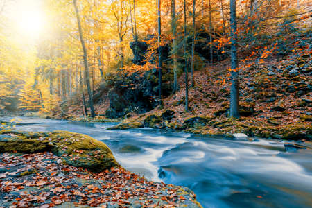 Wild mountain river Doubrava in Czech Republic Valley in beautiful autumn fall colors. Picturesque landscape.の写真素材