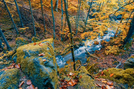 Wild mountain river Doubrava in Czech Republic Valley in beautiful autumn fall colors. Picturesque...