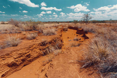 Lavaka of Ankarokaroka erosion canyon in Ankarafantsika National Park, incredible moonscape with dry...