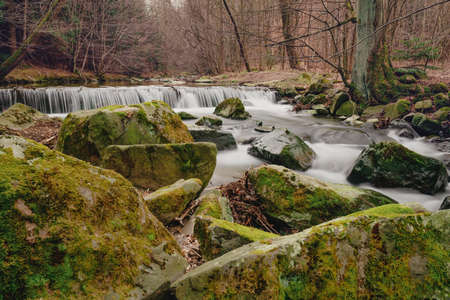 small waterfall is surrounded by moss and fallen autumn maple leaves, long exposure, spring scene