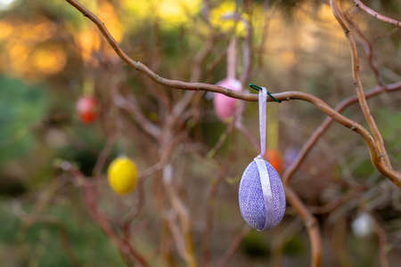 Hanging Easter eggs on tree with soft focus bokeh and color toned. Spring easter concept background.の写真素材