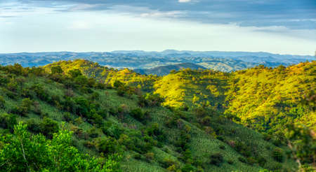 green panorama view To Mago National Park, Omo Valley, Omorati Etiopia, Africa nature and wildernessの写真素材