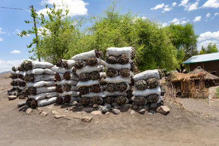 charcoal in bags near the road, for sale. Ethiopia
