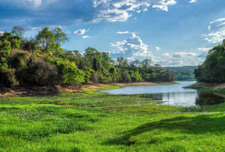 crocodile lake in Ankarafantsika national park, rainforest with tropical climate, Madagascar wildernessの写真素材