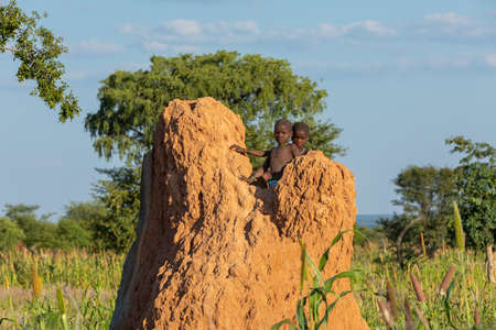NAMIBIA, OMUSATI REGION, MAY 6: The Himba boys playing at the termite mound. The Himbas are african indigenous namibian ethnic people, in northern Namibia, May 6, 2018, Namibia Africaのeditorial素材