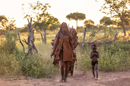 NAMIBIA, OMUSATI REGION, MAY 6: Himba women are returning from the work on agricultural field. The Himba are indigenous namibian ethnic people, in northern Namibia, May 6, 2018, Namibiaのeditorial素材