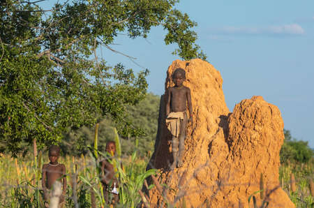 NAMIBIA, OMUSATI REGION, MAY 6: The Himba boys playing at the termite mound. The Himbas are african...