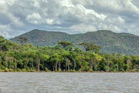 Lake Chamo landscape in the Southern Nations, Nationalities, and Peoples Region of southern...