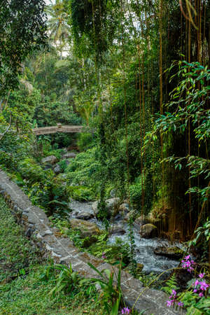ancient trails around royal tombs at Gunung Kawi, Bali, Indonesiaの写真素材