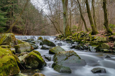 small cascade surrounded by moss and fallen autumn maple leaves, long exposure, spring scene