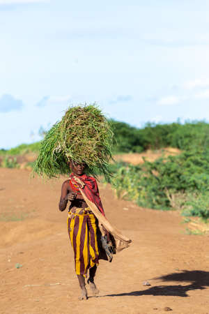 Omorate, Omo Valley, Ethiopia - May 11, 2019: Woman from the African tribe Dasanesh carries tef on her head. Daasanach are Cushitic ethnic group inhabiting in Ethiopia, Kenya, and South Sudanのeditorial素材
