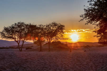 beautiful sunrise in hidden Dead Vlei in Namib desert, rising morning sun, Namibia, Africa wilderness landscapeの写真素材