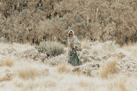 SIMIEN MOUNTAIN, ETHIOPIA, APRIL 25.2019, Little Ethiopian shepherdess girl veiled in a blanket with whip in cold morning. Chenek - Simien Mountains, Ethiopia, April 25. 2019のeditorial素材