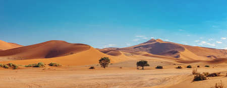 dunes in sossusvlei with wind shapes the sand dunes, Namibia arid wilderness landscapeの写真素材