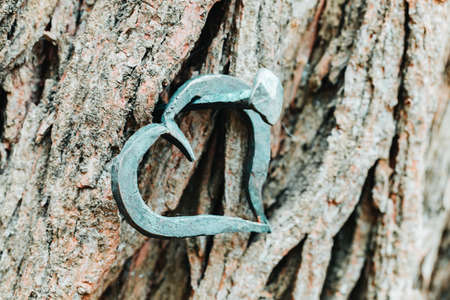 forged heart and nail, love valentine grunge concept,の写真素材