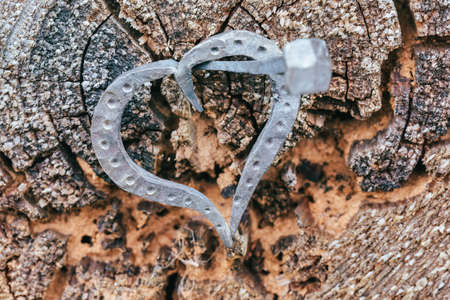 forged heart and nail, love valentine grunge concept,
