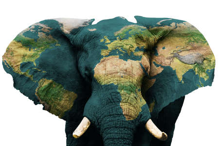 Earth concept, save the animals on planet. Isolated image of elephant with earth painted on skin. Creative composition of animal and earth.の写真素材
