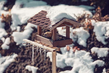 homemade wooden birdhouse, bird feeder installed on winter gardenの写真素材