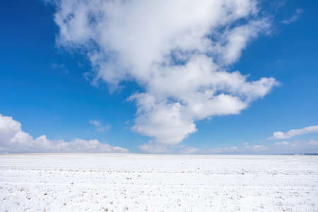 Simple winter background with beautiful lines from skier and big clouds on horizon with blue skyの写真素材