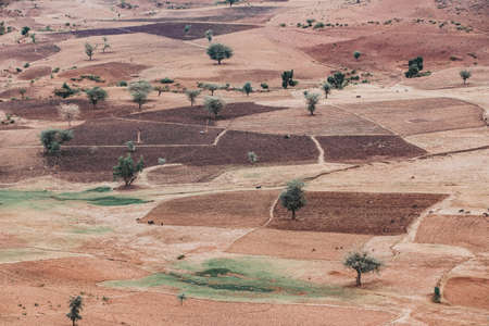 Beautiful agricultural landscape with traditional ethiopian fields near the city of Gondar, under the ruins of Guzara palace. Amhara region. Ethiopia, Africa.の写真素材