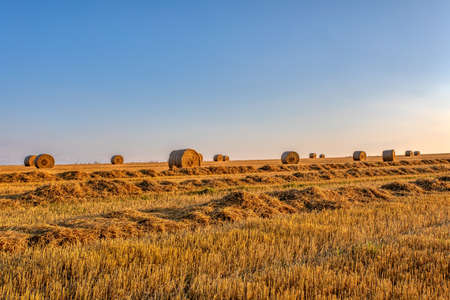 sunset over Straw bales stacked in a field at summer time, Vysocina Czech Republicの写真素材