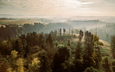 Aerial view of autumn sunrise countryside, traditional fall landscape with rising sun in Central europe. Foggy and misty sunrise. Frozen landscape from bird eye. Czech Republic, Vysocina highlandの写真素材