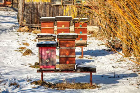 Snow covered group beehives in the winter garden. Czech Republic, Europeの写真素材