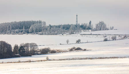 Tree covered by white snow Czech Republic, Vysocina region highlandの写真素材