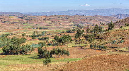 Beautiful highland landscape with traditional Ethiopian houses in valley. Ethiopia, Africa.の写真素材