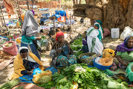 DEBRE LIBANOS, ETHIOPIA - APRIL 19, 2019: Ordinary Ethiopian woman sell fruits and vegetables at a street market near Debre Libanos Cathedral on April 19, 2019 in Debre Libanos, Ethiopiaのeditorial素材