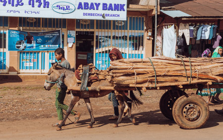 DEMEBECHA, ETHIOPIA, APRIL 20.2019. Ethiopian street in the morning, boys with donkey with cart transport wooden logs. Demebecha, Ethiopia, April 20. 2019のeditorial素材