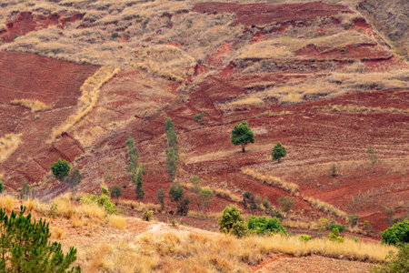 Central Madagascar landscape - Betafo, Vakinankaratra. Highland countryside landscape. Deforestation creates agricultural or pastoral land but can also result in ecological problems with soil and water.の写真素材
