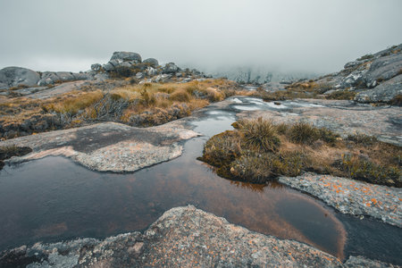 Andringitra national park, Haute Matsiatra region, Madagascar, beautiful mountain landscape, trail to high peak in mist and fog. Hiking in Andringitra mountains. Madagascar wilderness landscape.の写真素材