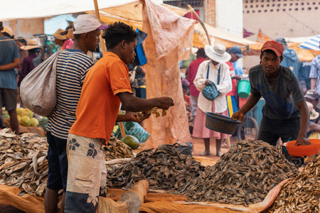 Mandoto, Madagascar - November 9, 2022 - Malagasy man buys dried fish at a street market. Fishing is one of the livelihoods in Madagascar.のeditorial素材
