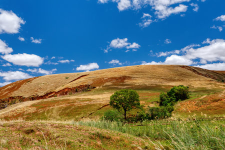 Devastated central Madagascar landscape, Mahajanga Province. Highland deforested countryside. Deforestation creates agricultural pastoral land but also results in ecological problems with soil and water.の写真素材