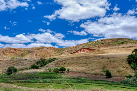 Devastated central Madagascar landscape, Mahajanga Province. Highland deforested countryside. Deforestation creates agricultural pastoral land but also results in ecological problems with soil and water.の写真素材