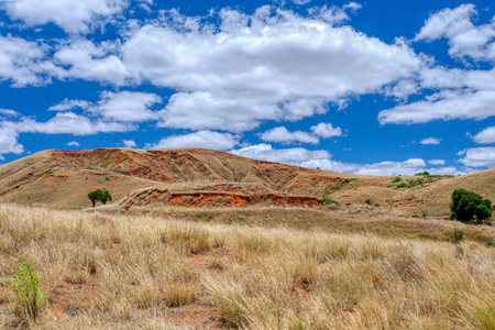 Devastated central Madagascar landscape, Mahajanga Province. Highland deforested countryside. Deforestation creates agricultural pastoral land but also results in ecological problems with soil and water.の写真素材