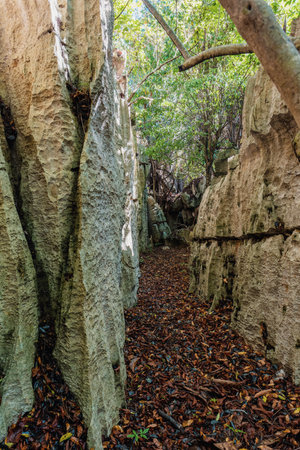 Narrow path between rocks in Petit Tsingy de Bemaraha, Strict Nature Reserve located near the western coast of Madagascarの写真素材