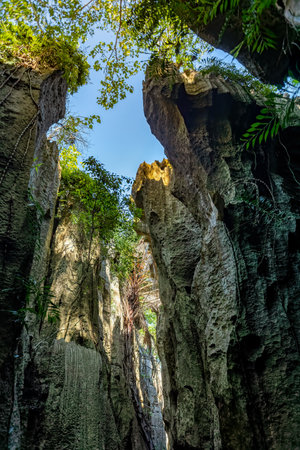 Narrow path between rocks in Petit Tsingy de Bemaraha, Strict Nature Reserve located near the western coast of Madagascarの写真素材