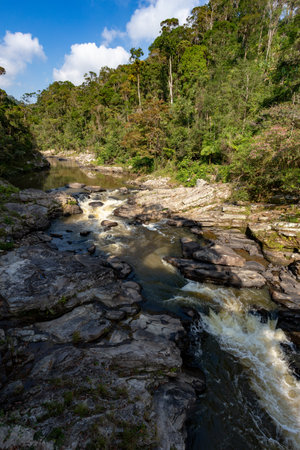 Madagascar mountain river in tropical forest on the hills. Sunny day. Ranomafana National Park. Madagascar wilderness landscapeの写真素材