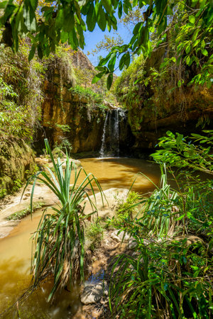 Small rain forest waterfall, pure unattached nature, beautiful Isalo national park. Unattached Madagascar wilderness landscape with lagoon.の写真素材