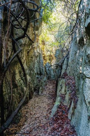 Narrow path between rocks in Petit Tsingy de Bemaraha, Strict Nature Reserve located near the western coast of Madagascarの写真素材