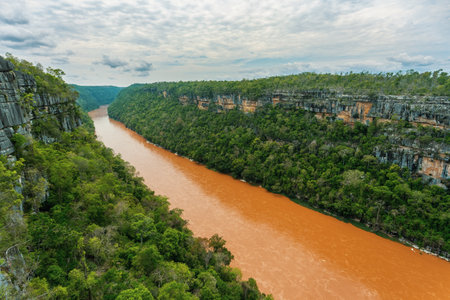 Stunning landscape of Madagascar's Tsingy de Bemaraha National Park, with a breathtaking view of the Manambolo River from a viewpoint.. Madagascar wilderness landscape.の写真素材