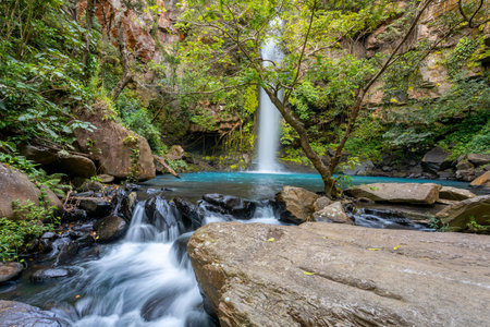 Catarata La Cangreja - Hidden waterfall surrounded by green trees, vegetation, rocks, leaves floating on green and clear water, Rincon de la Vieja National Park, Costa Rica Wildernessの写真素材