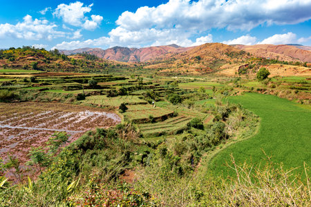 Central Madagascar landscape - Betafo, Vakinankaratra. Highland countryside landscape. Deforestation creates agricultural or pastoral land but can also result in ecological problems with soil and water.の写真素材